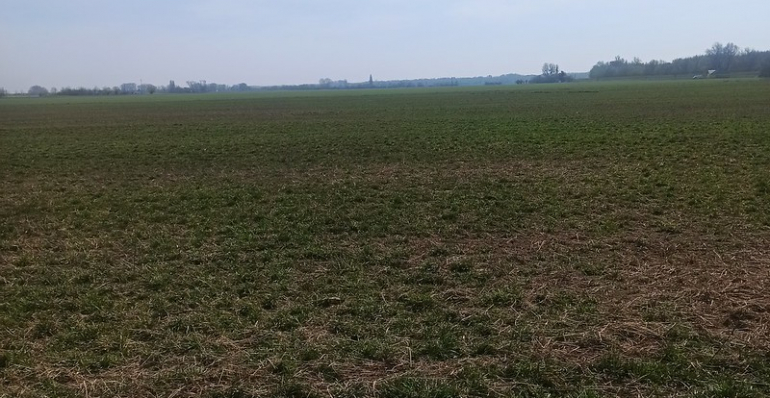 UMWANDLUNG VON MEHR ALS 10 HA ACKERLAND IN WEIDEN IN DER SLOWAKEI HAT BEGONNEN